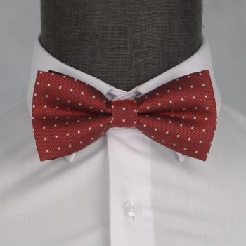 Бабочка мужская 0088