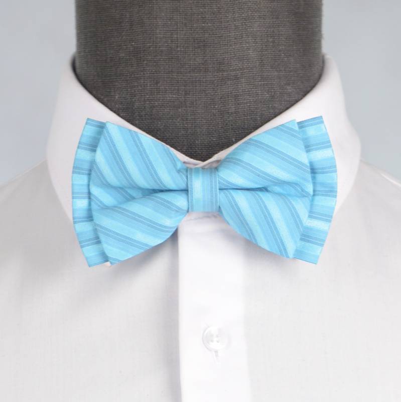 Бабочка мужская 0053