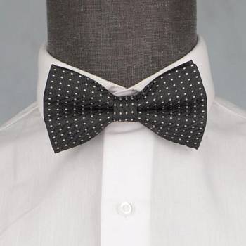 Бабочка мужская 0098