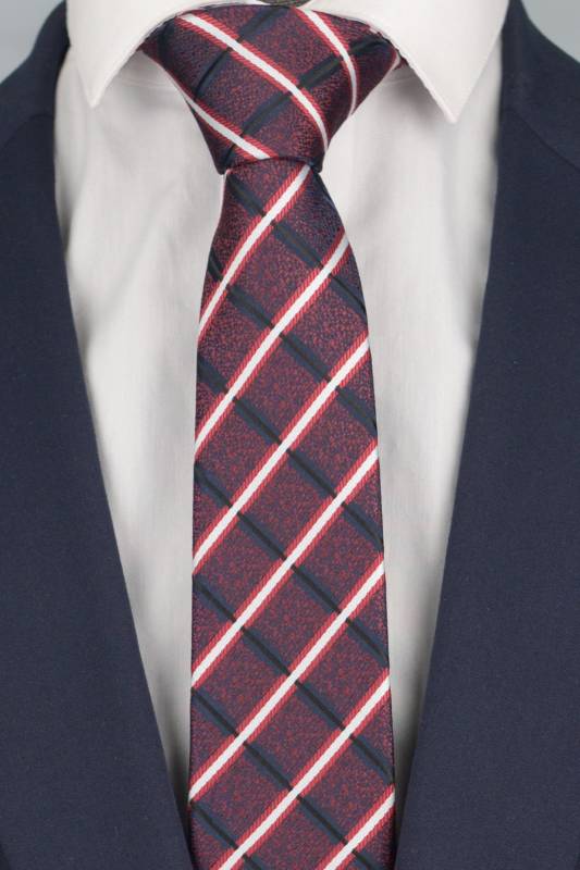 Галстук с платком 0541