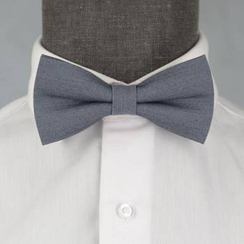 Бабочка мужская 0254