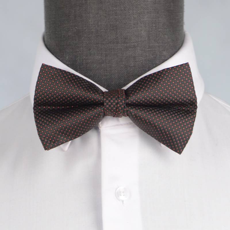 Бабочка мужская 0046