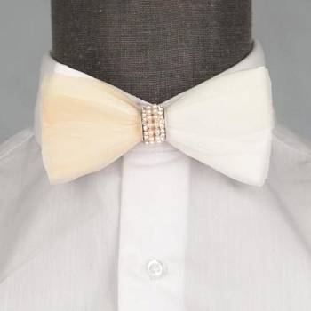 Бабочка мужская с перьями 0006