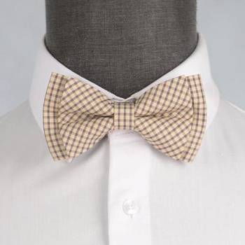 Бабочка мужская 0062