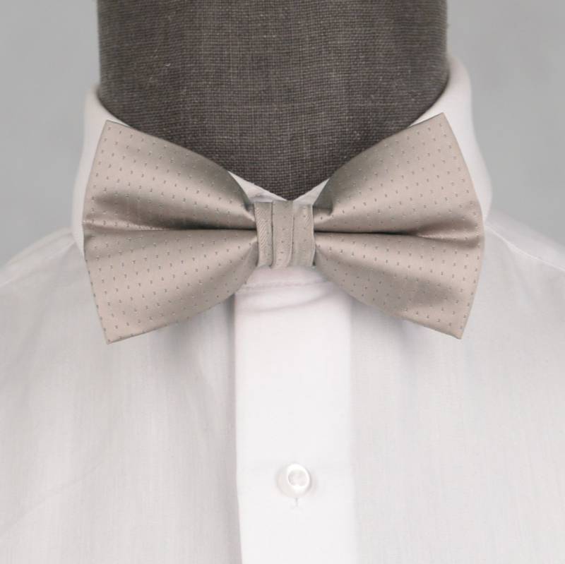 Бабочка мужская 0145