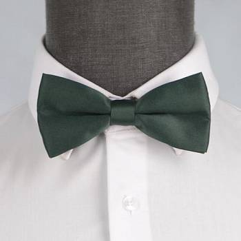 Бабочка мужская 0087